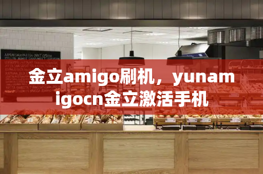 金立amigo刷机，yunamigocn金立激活手机-第1张图片-星选测评