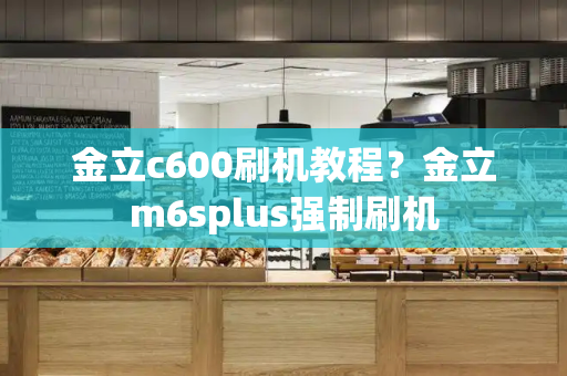 金立c600刷机教程？金立m6splus强制刷机-第1张图片-星选测评