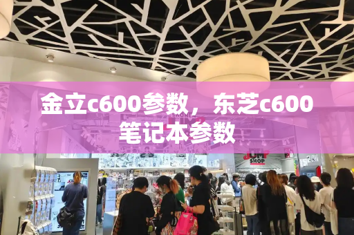 金立c600参数，东芝c600笔记本参数