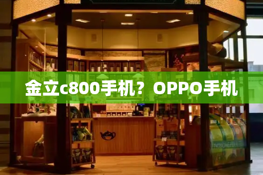 金立c800手机？OPPO手机-第1张图片-星选测评