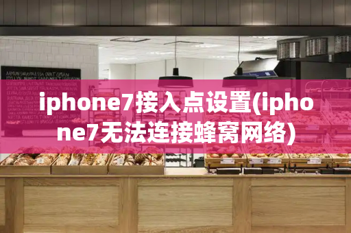 iphone7接入点设置(iphone7无法连接蜂窝网络)-第1张图片-星选测评