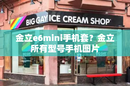 金立e6mini手机套？金立所有型号手机图片