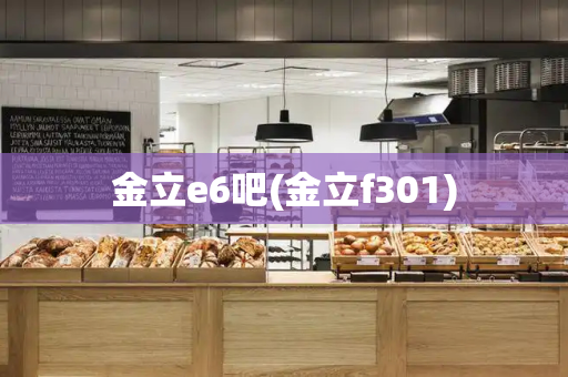 金立e6吧(金立f301)