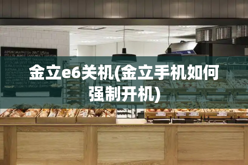 金立e6关机(金立手机如何强制开机)-第1张图片-星选测评