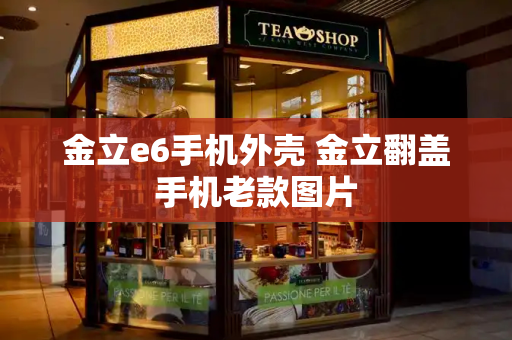 金立e6手机外壳 金立翻盖手机老款图片-第1张图片-星选测评