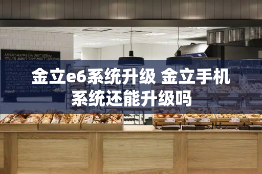 金立e6系统升级 金立手机系统还能升级吗-第1张图片-星选测评