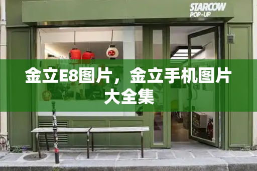 金立E8图片，金立手机图片大全集