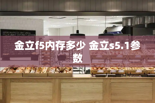 金立f5内存多少 金立s5.1参数-第1张图片-星选测评