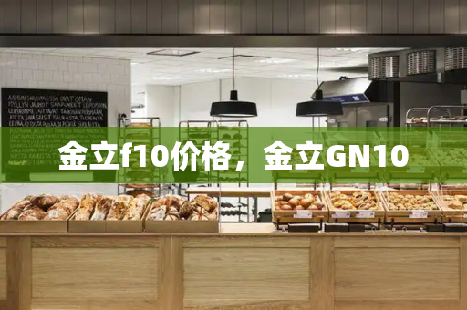 金立f10价格，金立GN100-第1张图片-星选测评