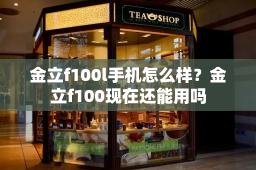金立f100l手机怎么样？金立f100现在还能用吗-第1张图片-星选测评