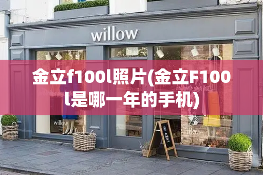 金立f100l照片(金立F100l是哪一年的手机)-第1张图片-星选测评