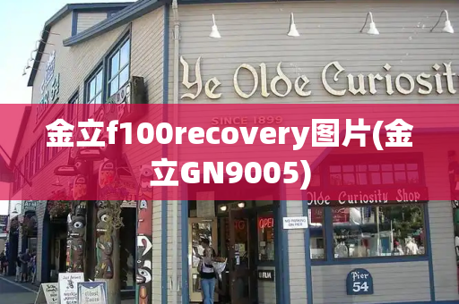 金立f100recovery图片(金立GN9005)-第1张图片-星选测评