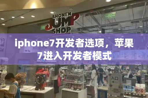 iphone7开发者选项，苹果7进入开发者模式