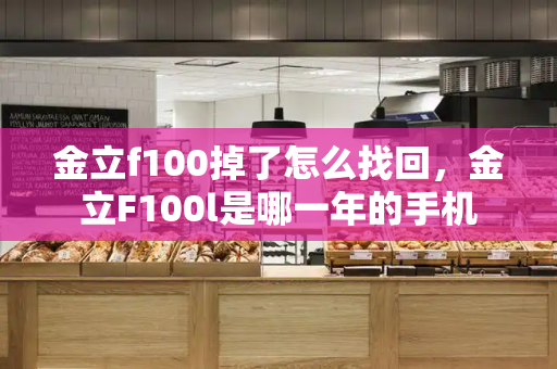金立f100掉了怎么找回，金立F100l是哪一年的手机-第1张图片-星选测评