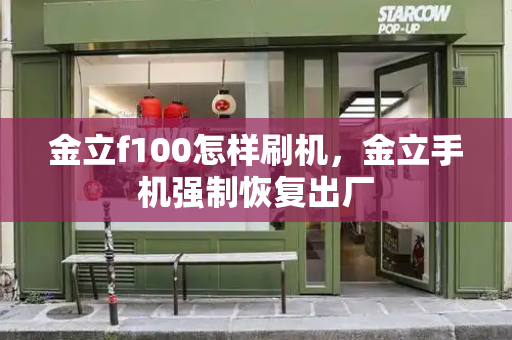 金立f100怎样刷机，金立手机强制恢复出厂-第1张图片-星选测评