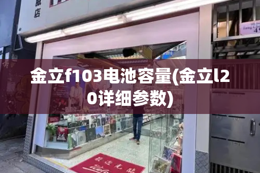 金立f103电池容量(金立l20详细参数)-第1张图片-星选测评