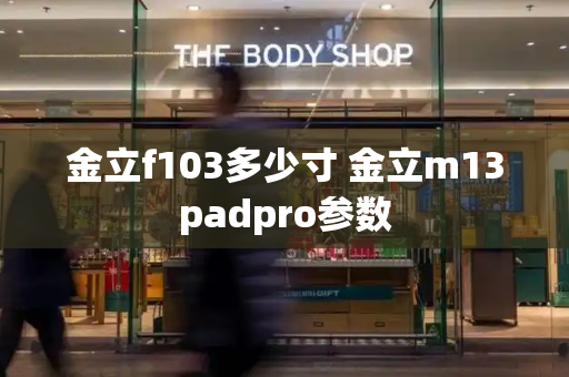金立f103多少寸 金立m13padpro参数-第1张图片-星选测评