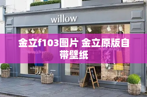 金立f103图片 金立原版自带壁纸