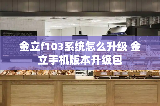 金立f103系统怎么升级 金立手机版本升级包-第1张图片-星选测评
