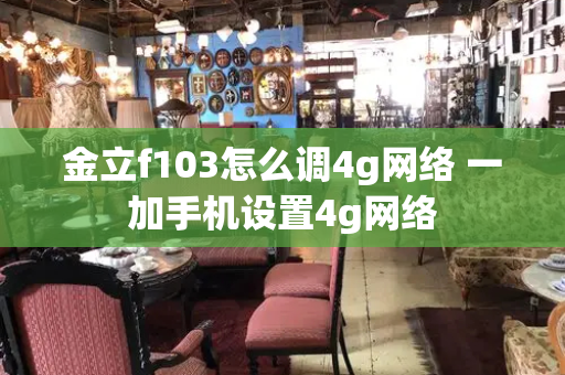金立f103怎么调4g网络 一加手机设置4g网络-第1张图片-星选测评
