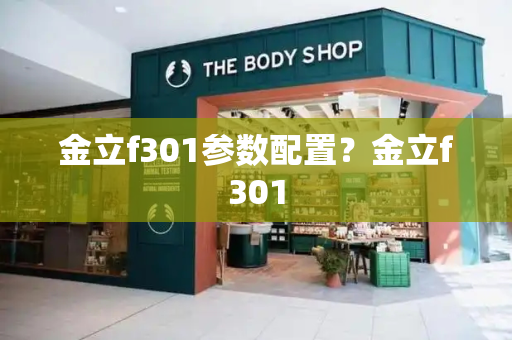 金立f301参数配置？金立f301-第1张图片-星选测评