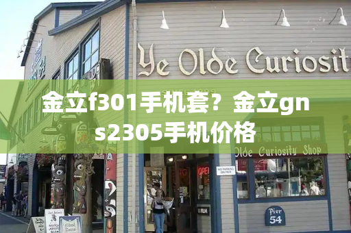 金立f301手机套？金立gns2305手机价格-第1张图片-星选测评