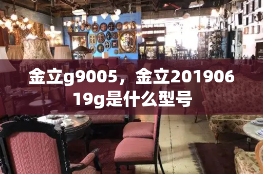 金立g9005，金立20190619g是什么型号