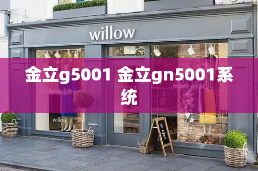 金立g5001 金立gn5001系统-第1张图片-星选测评