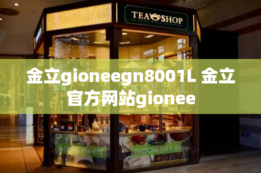 金立gioneegn8001L 金立官方网站gionee-第1张图片-星选测评