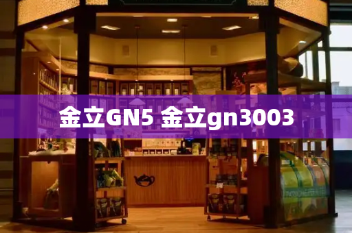 金立GN5 金立gn3003-第1张图片-星选测评