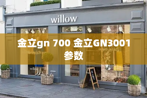 金立gn 700 金立GN3001参数