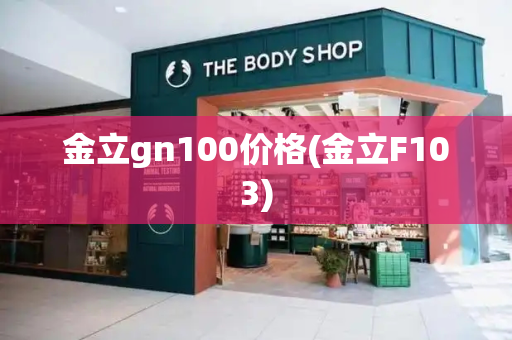 金立gn100价格(金立F103)-第1张图片-星选测评