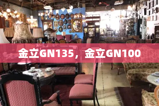 金立GN135，金立GN100-第1张图片-星选测评