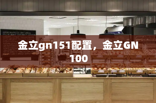 金立gn151配置，金立GN100-第1张图片-星选测评
