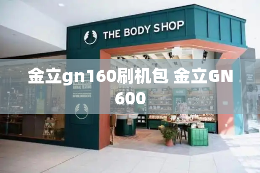 金立gn160刷机包 金立GN600-第1张图片-星选测评