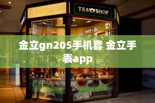 金立gn205手机套 金立手表app-第1张图片-星选测评