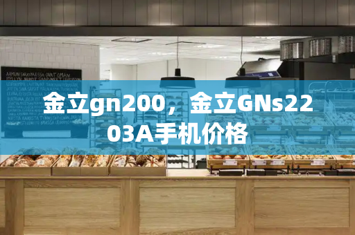 金立gn200，金立GNs2203A手机价格-第1张图片-星选测评