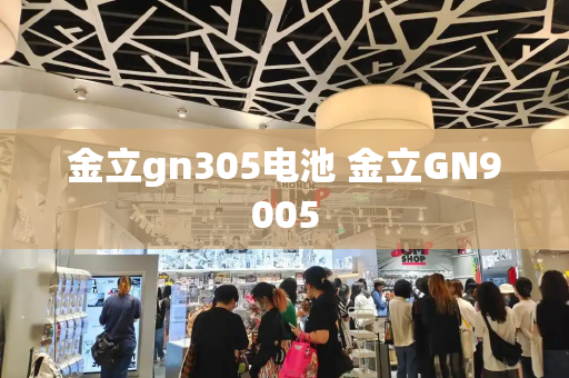 金立gn305电池 金立GN9005