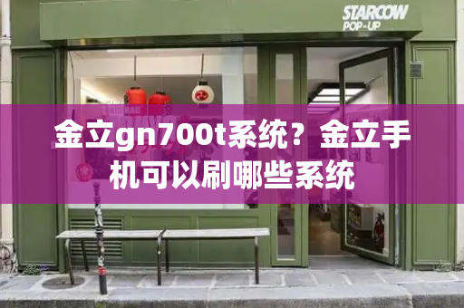 金立gn700t系统？金立手机可以刷哪些系统-第1张图片-星选测评