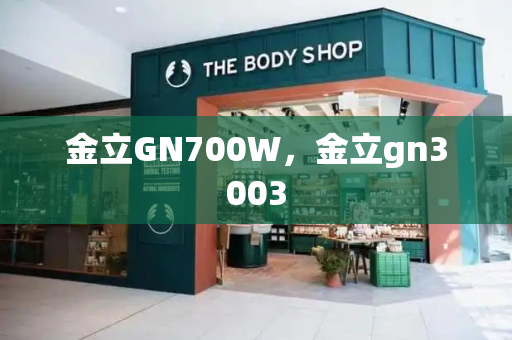 金立GN700W，金立gn3003
