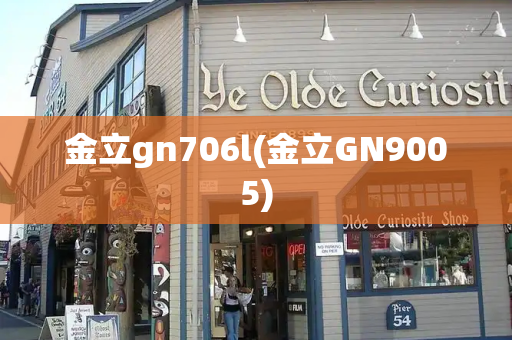 金立gn706l(金立GN9005)