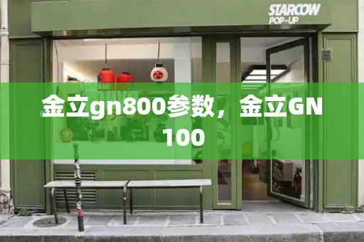 金立gn800参数，金立GN100-第1张图片-星选测评