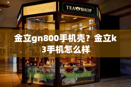 金立gn800手机壳？金立k3手机怎么样