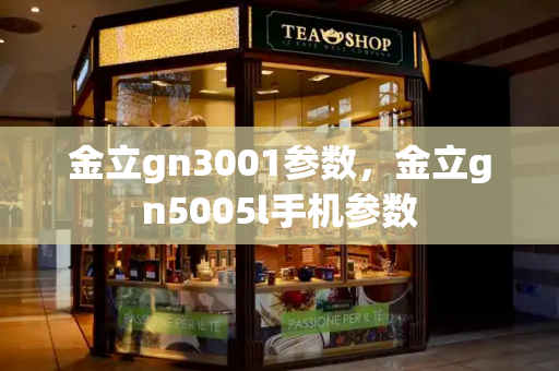 金立gn3001参数，金立gn5005l手机参数-第1张图片-星选测评