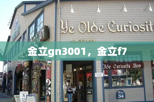 金立gn3001，金立f7-第1张图片-星选测评
