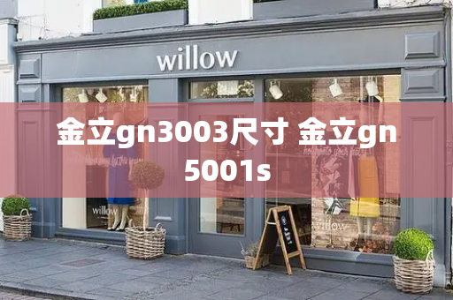 金立gn3003尺寸 金立gn5001s-第1张图片-星选测评