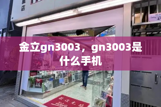 金立gn3003，gn3003是什么手机-第1张图片-星选测评