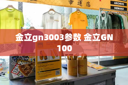 金立gn3003参数 金立GN100