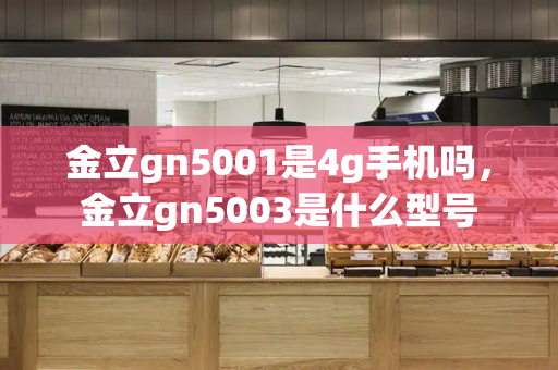 金立gn5001是4g手机吗，金立gn5003是什么型号