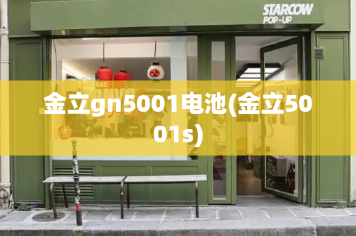 金立gn5001电池(金立5001s)-第1张图片-星选测评